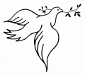peace dove
