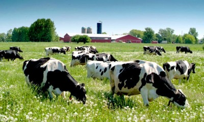 Harmony_Organic_Dairy-Our_Philosophy