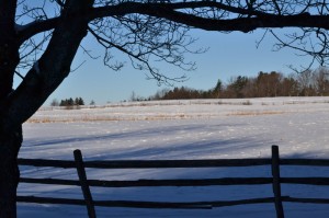 fence-and-snowy-field-in-Knox-Farm-State-Park-East-Aurora-NY-300x1991